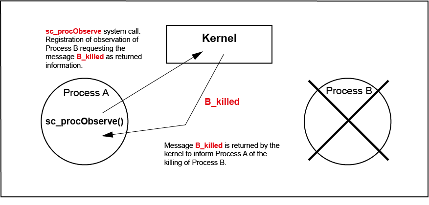 ProcessObservation